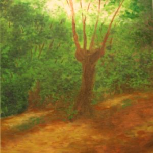 Bosque de castaños