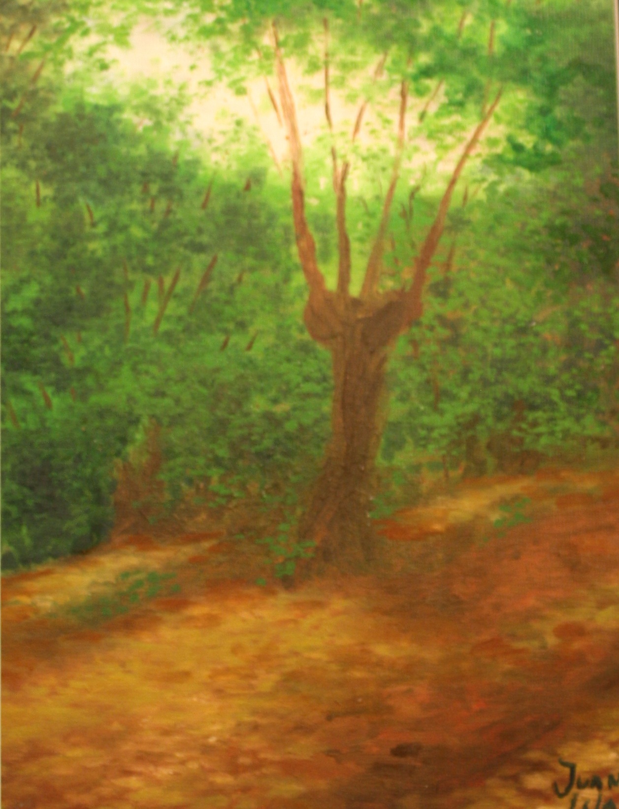 Bosque de castaños