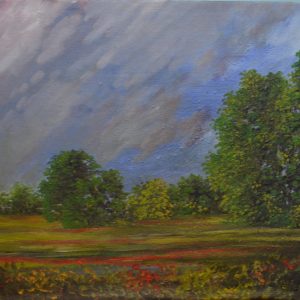Estudio de paisaje