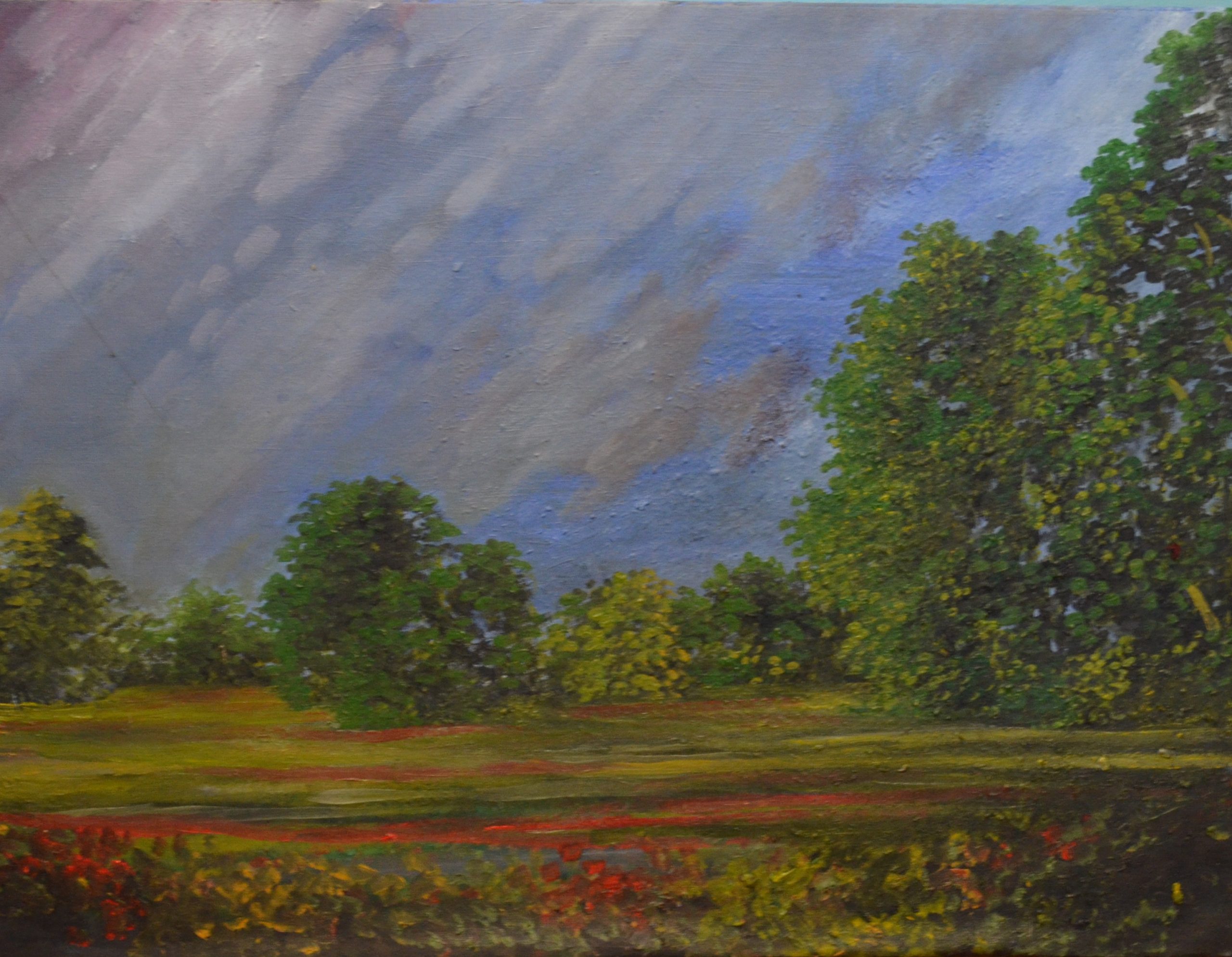 Estudio de paisaje